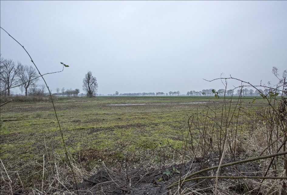 Waterberging Dekkersweg Rouveen