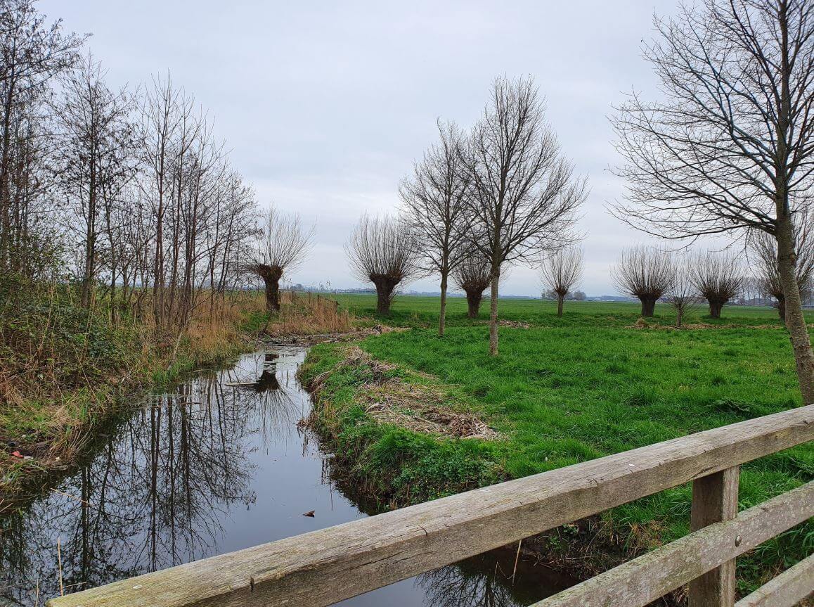 Mastenbroekerpolder