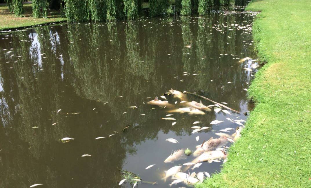 Riooloverstort met ernstige gevolgen