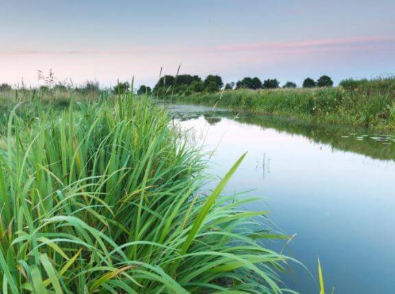 Buitenpolder