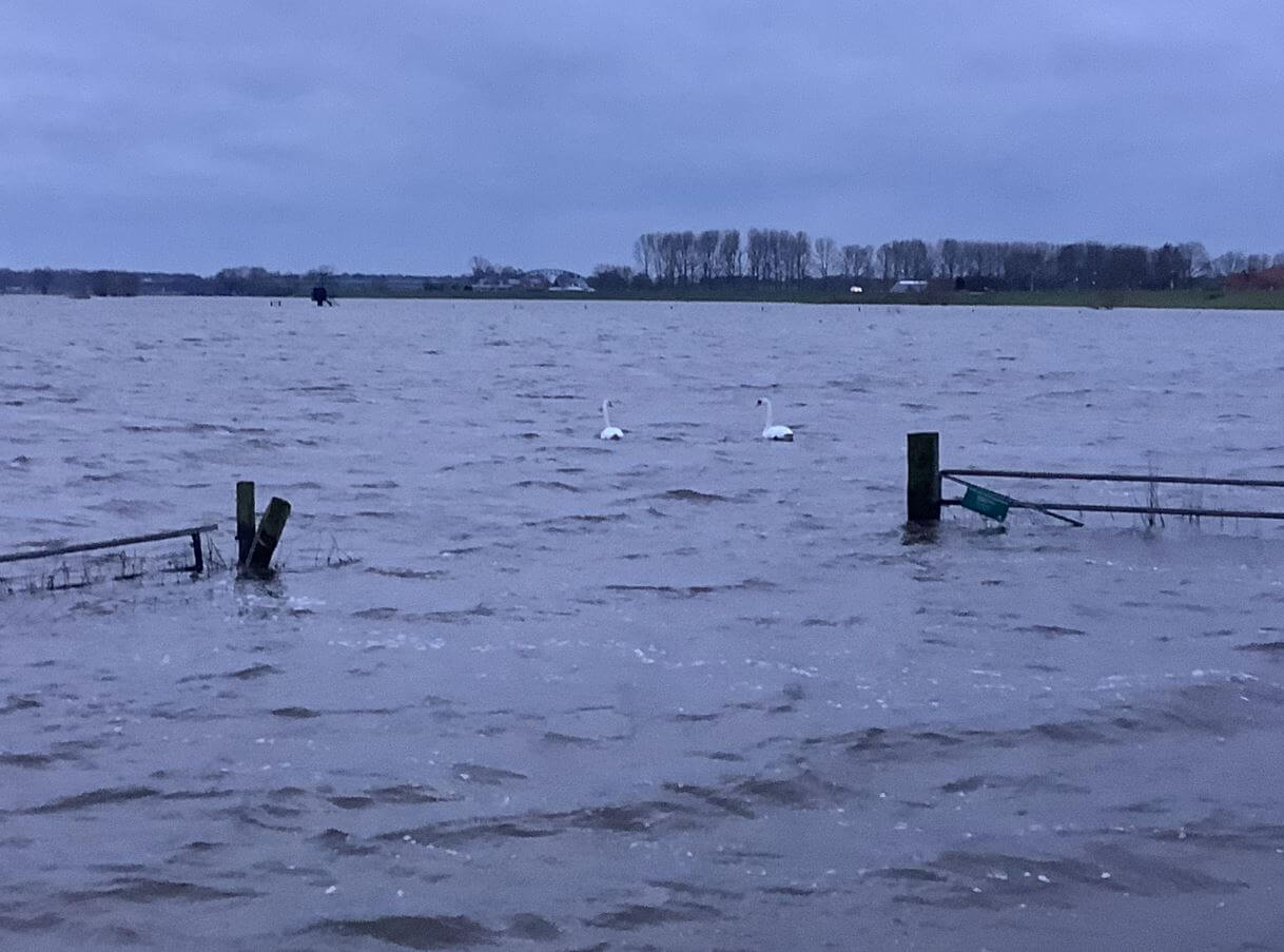 Hoog water Vecht